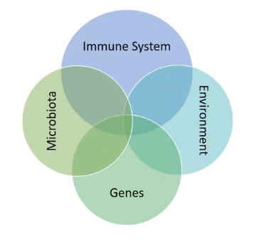 New perspectives on the immunology of IBD – Dr Andrew Stagg